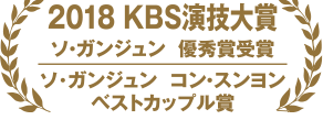 2018 KBS演技大賞