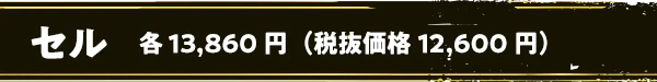 セル 各13,860円（税抜価格12,600円）