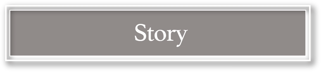 Story
