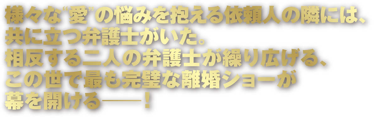 様々な“愛”の悩みを抱える依頼人の隣には、共に立つ弁護士がいた。相反する二人の弁護士が繰り広げる、この世で最も完璧な離婚ショーが幕を開ける―!
