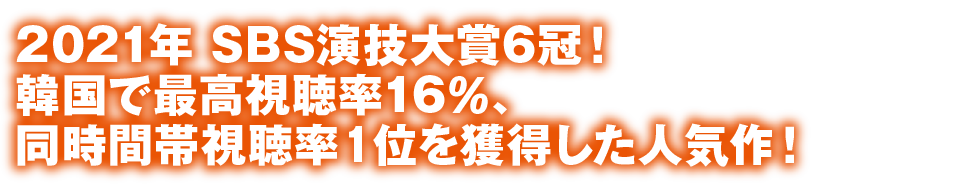 2021年 SBS演技大賞6冠！韓国で最高視聴率16％、同時間帯視聴率１位を獲得した人気作！ 