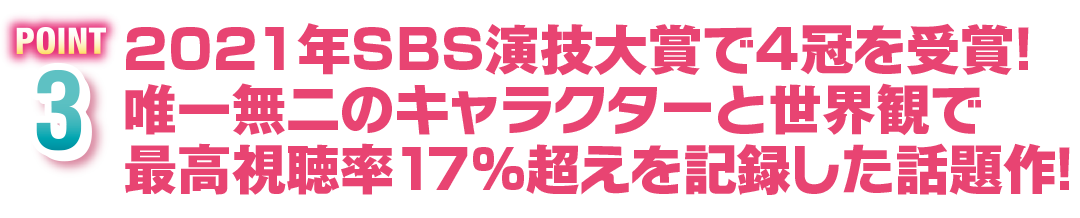 POINT3　2021年SBS演技大賞で4冠を受賞！唯一無二のキャラクターと世界観で最高視聴率17%超えを記録した話題作！