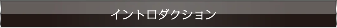 イントロダクション