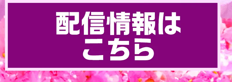 配信情報はこちら