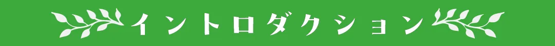 イントロダクション