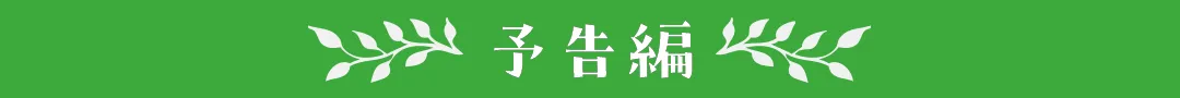 予告編