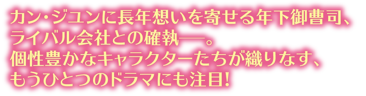 わたしの完璧な秘書 サイン入り フライヤー 韓国ドラマ【わたしの完璧な秘書】全話 DVD＆Blu-ray | 韓国