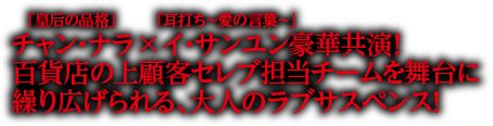 韓国ドラマ】VIP－迷路の始まり－｜ドラマ公式サイト