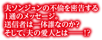 韓国ドラマ】VIP－迷路の始まり－｜ドラマ公式サイト